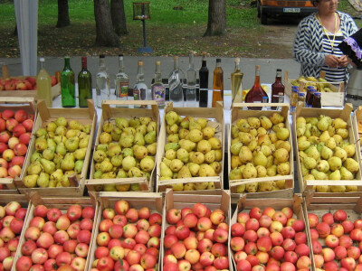 Mira Kolundžija i njeni proizvodi