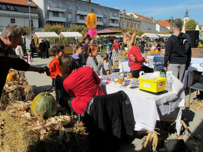 Šesti jesenski cvjetni sajam u Daruvaru
