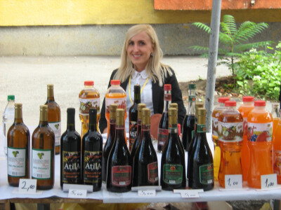 9.Dani pčelarstva, voćarstva i našeg sela