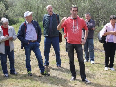 Dani masline - stručni izlet na Ugljan