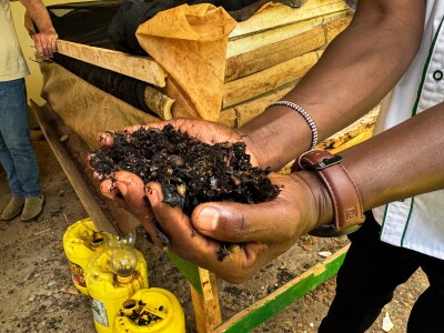 Proizvodnja kave u Keniji