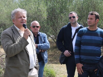 Dani masline - stručni izlet na Ugljan