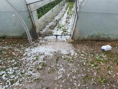 foto: Danijela Plavšić