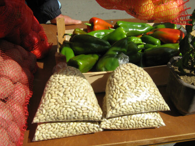 Povrćar Slobodan Predojević Povrćar Slobodan Predojević