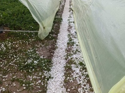 foto: Danijela Plavšić