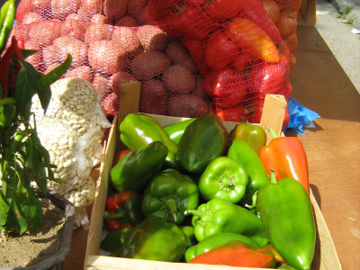 Povrćar Slobodan Predojević Povrćar Slobodan Predojević