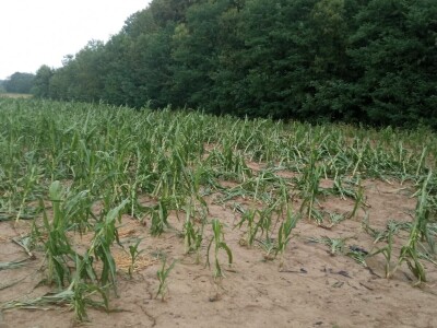 foto: Danijela Plavšić