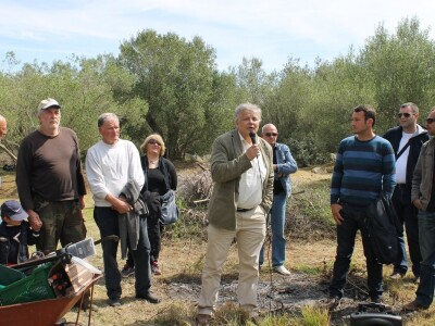Dani masline - stručni izlet na Ugljan