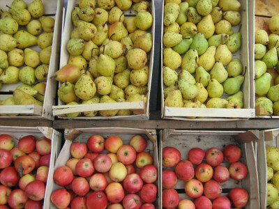 Kruške i jabuke iz voćnjaka
