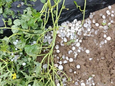 foto: Danijela Plavšić