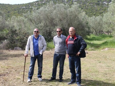 Dani masline - stručni izlet na Ugljan