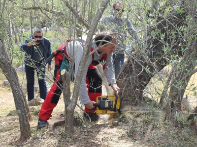 Dani masline - stručni izlet na Ugljan
