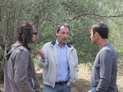 Dani masline - stručni izlet na Ugljan