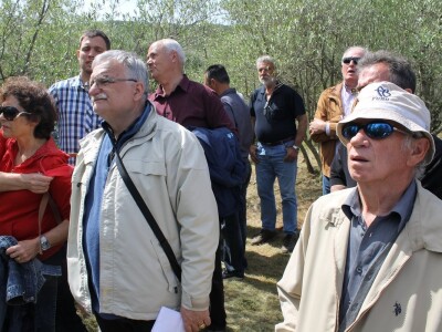 Dani masline - stručni izlet na Ugljan