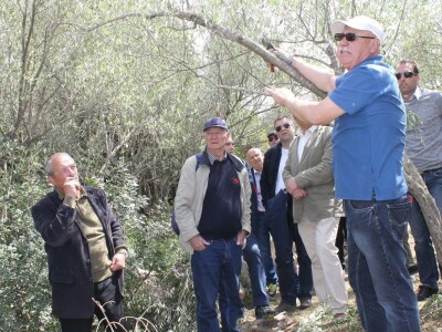 Dani masline - stručni izlet na Ugljan