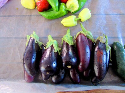 Zdrav prizor zdravih patlidžana