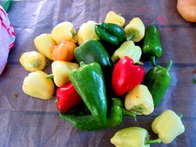 Paprike u boji - svaka ima svoj izvor zdravlja