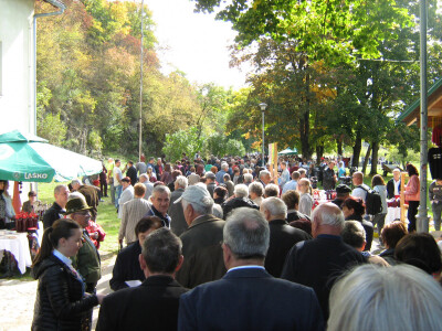 16. Dani drvarske drenjine