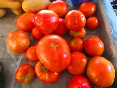 Rajčice - ma tko ih ne voli?