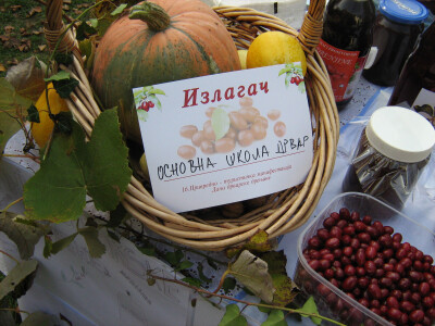 16. Dani drvarske drenjine