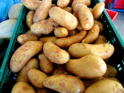 Krumpiri u velikom izdanju Krumpiri u velikom izdanju