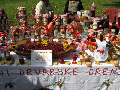 16. Dani drvarske drenjine