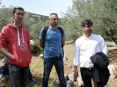 Dani masline - stručni izlet na Ugljan