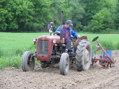 Nenad Perić sije kukuruz