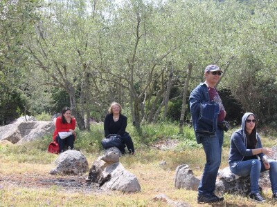 Dani masline - stručni izlet na Ugljan