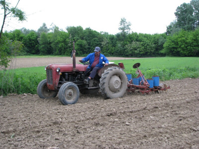 Nenad Perić sije kukuruz