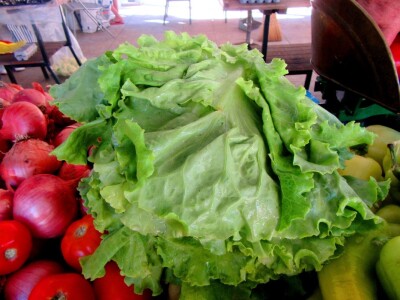 Zdrava salata - zdrav obrok Zdrava salata - zdrav obrok