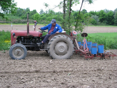 Nenad Perić sije u Bokovima