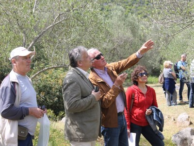 Dani masline - stručni izlet na Ugljan