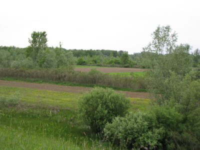 Područje uz rijeku Savu