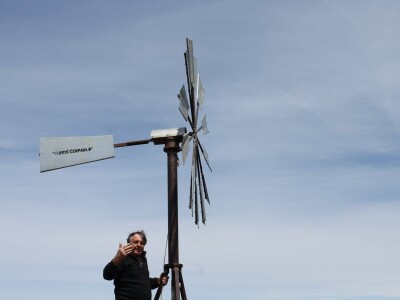 Dani masline - stručni izlet na Ugljan