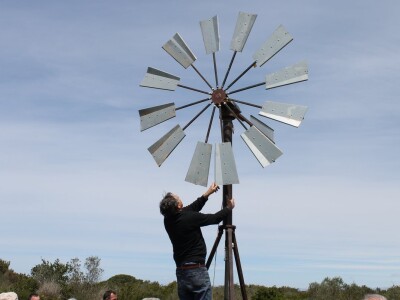 Dani masline - stručni izlet na Ugljan