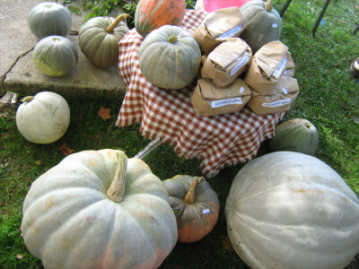 16. Dani drvarske drenjine