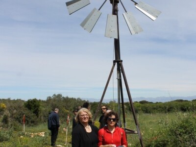 Dani masline - stručni izlet na Ugljan