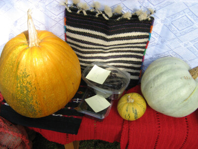 Domaći proizvodi Suzane Šobić