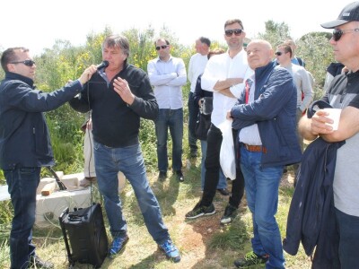 Dani masline - stručni izlet na Ugljan