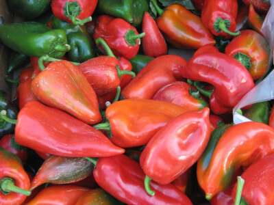 Crvena rog paprika Crvena rog paprika