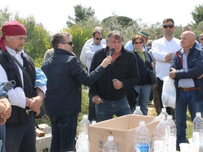 Dani masline - stručni izlet na Ugljan