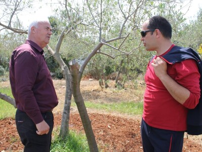 Dani masline - stručni izlet na Ugljan