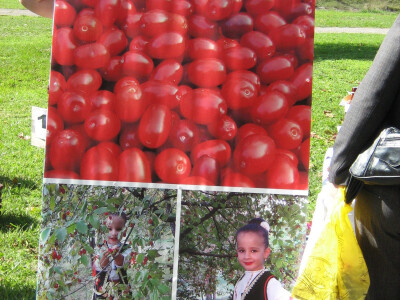 16. Dani drvarske drenjine