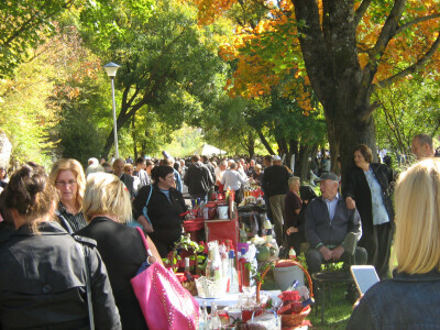 16. Dani drvarske drenjine