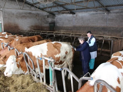 Farma Majetić
