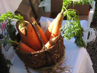 16. Dani drvarske drenjine