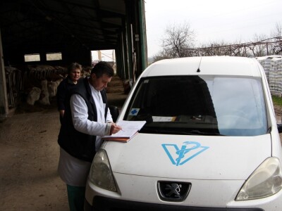 OPG Majetić gradi novu farmu vrijednu preko milijun kuna za sto grla junadi