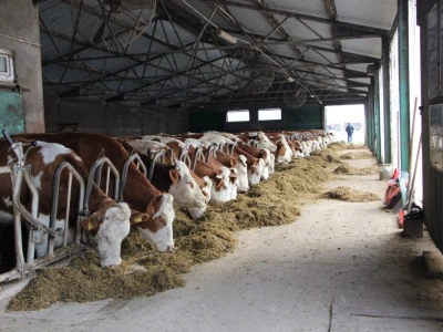 Farma Majetić