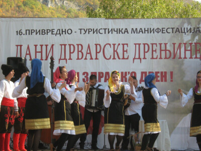 16. Dani drvarske drenjine